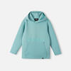 Hoodie Reima 5200004A All season