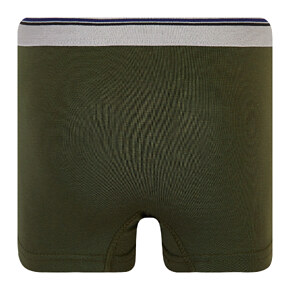 Boxer briefs Flamingo