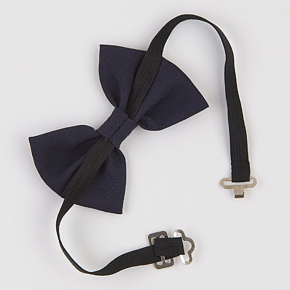 Метелик Ластівка для хлопчика