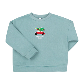 Свитшот утепленный Bembi Christmas детский