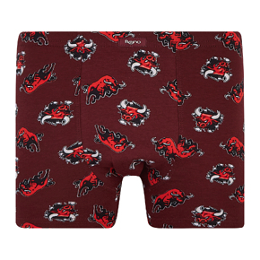 Труси-шорти Bono чоловічі