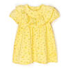 Dress Dexter's