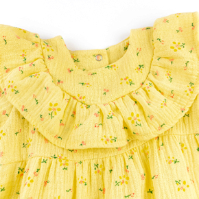 Dress Dexter's