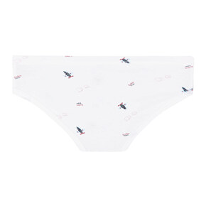 Briefs Flamingo