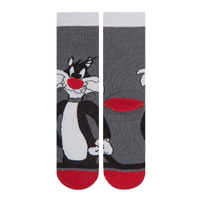 Шкарпетки Fashion socks дитячі