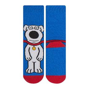 Шкарпетки Fashion socks дитячі