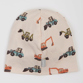 Шапка Alana Демісезон для хлопчика