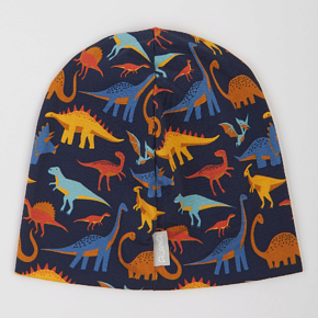 Шапка Alana Демісезон для хлопчика