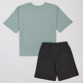 Set T-shirt Shorts Flamingo