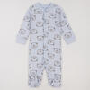 Sleepsuit Flamingo