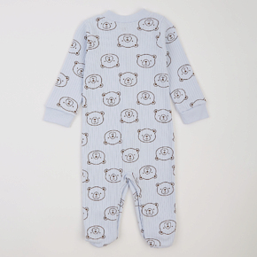Sleepsuit Flamingo