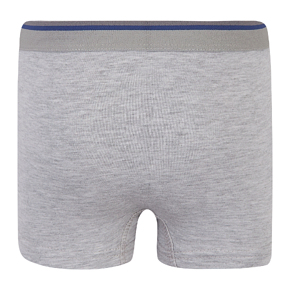 Boxer briefs Flamingo