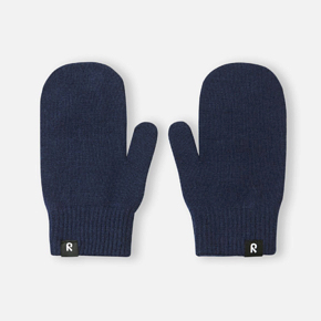 Gloves Reima 5300053C Winter
