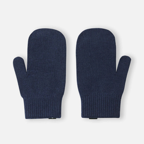 Gloves Reima 5300053C Winter