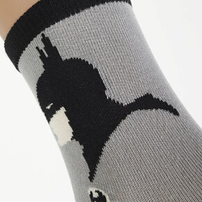 Шкарпетки Дюна Warner Bros. для хлопчика