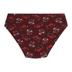 Труси-сліпи Bono чоловічі