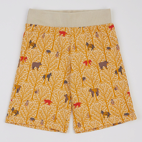 Шорты ArDoMi детские