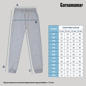 Спортивні штани Garnamama Spiders для хлопчика