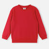 Sweatshirt Reima 5200335A All season