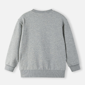 Sweatshirt Reima 5200335A All season