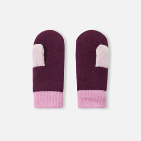 Рукавицы Reima 5300008B Зима для девочки