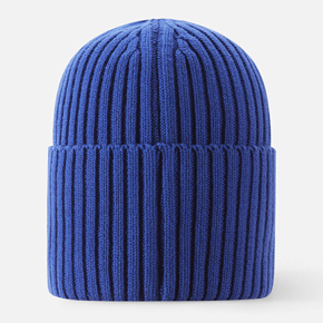 Шапка Reima 5300057B Демисезон детская