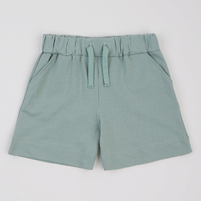 Shorts Flamingo