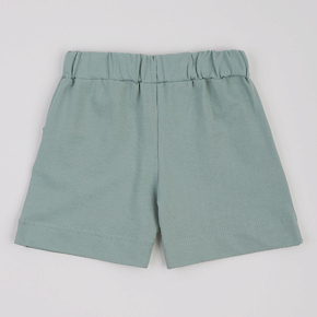 Shorts Flamingo