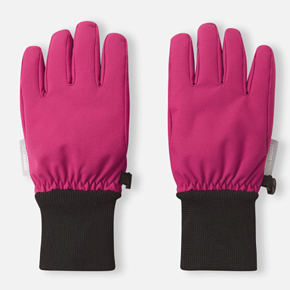 Gloves Reima 5300322A Demi
