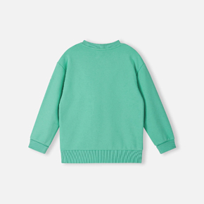 Світшот Reima 5200335A Всесезон дитячий