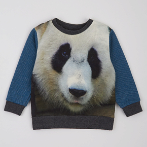 Свитшот утепленный ArDoMi детский