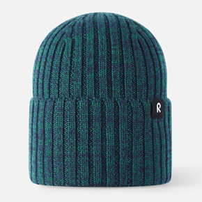 Шапка Reima 5300282B Зима детская