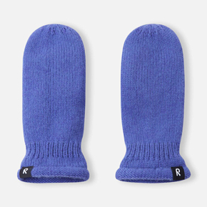 Рукавицы Reima 5300318A Зима детские