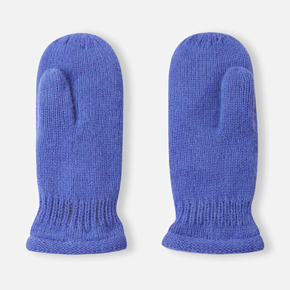 Рукавицы Reima 5300318A Зима детские