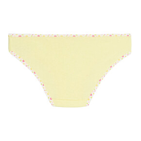 Briefs Flamingo
